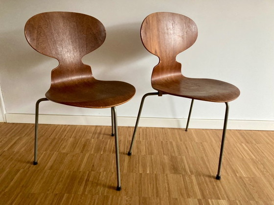 Image 1 of 2x silla Arne Jacobson Ant, originales ( años 50 )