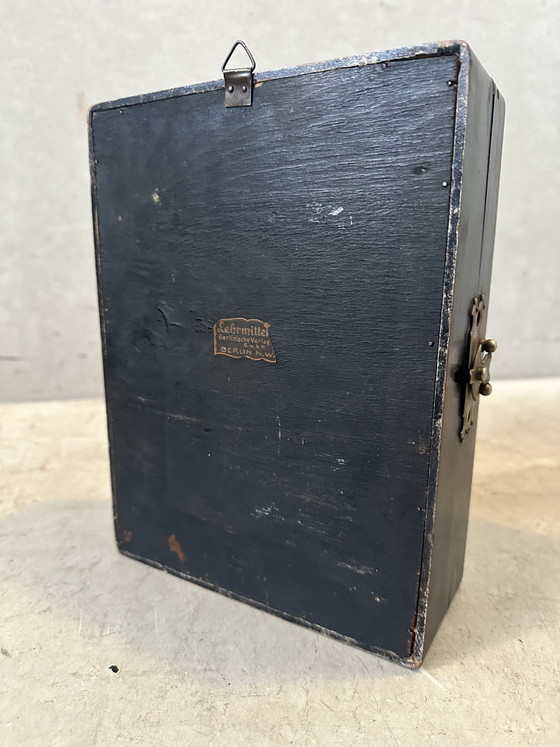 Image 1 of Antique display cabinet - wax model head (facies externa)