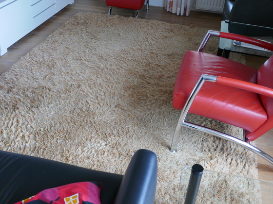 Image 1 of Karpet Danskina