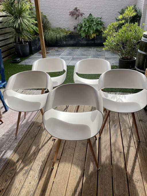 5X Züco Little Perillo Chair