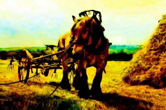 Image 1 of MikoArt-Giclée-02/Serie-150x100cm-0020