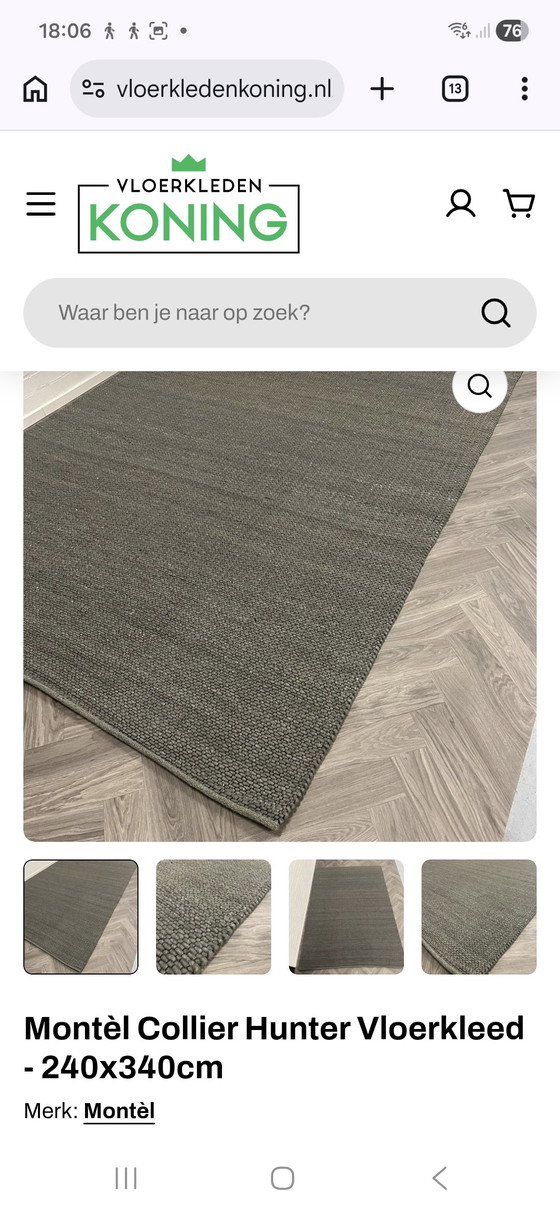 Image 1 of Montel Collier design Hunter rug!