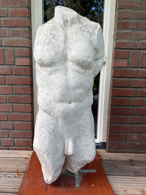 Torso Maschile Gesso Pezzo Unico