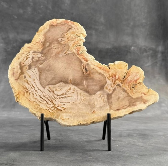 Image 1 of Madera fosilizada de Sooka, soporte hecho a medida (nuevo)