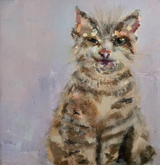 Image 1 of Acrylic cat in a floating frame