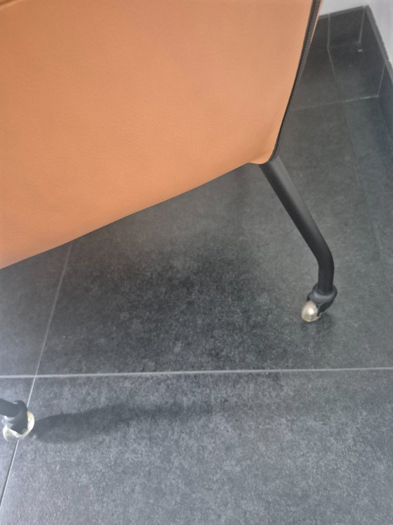 Montis Chaplin Sedie da pranzo – Leather, Metal (photo 4 of 5)