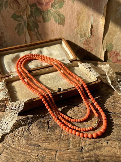 Très long sautoir ancien Art Déco en corail naturel perles en chute 2m