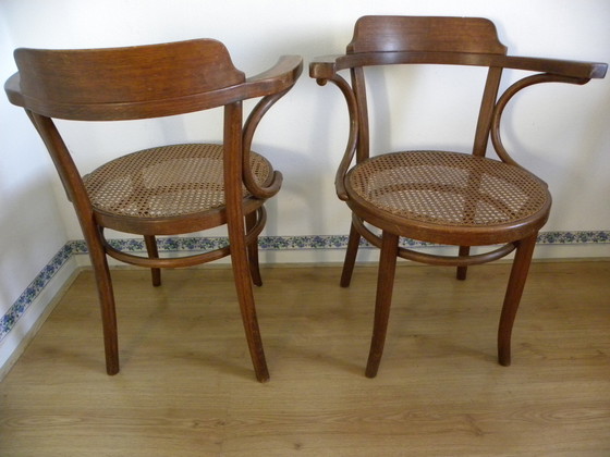 Image 1 of Thonet - 2x Sedia da ufficio Poltrona n. 3