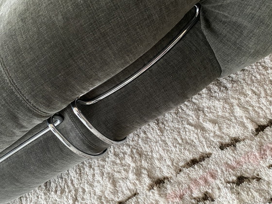 Image 1 of Cassina soriana