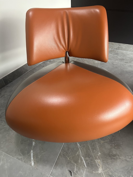 Chaises Leolux Pallone – Orange/Marron