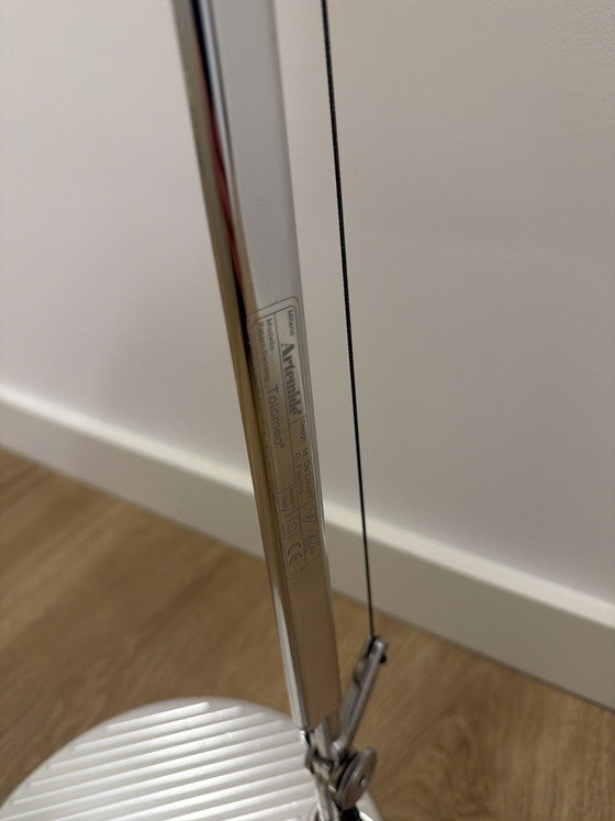 Image 1 of Artemid Tolomeo Carta