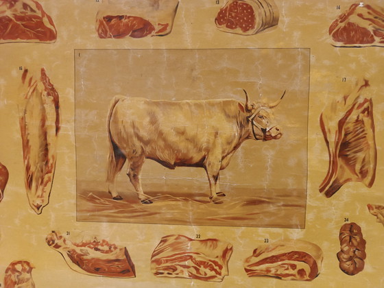 Image 1 of Schulplakat Metzgerschule „Het Rund“