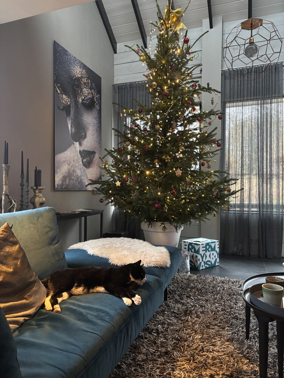 Image 1 of Kunstfotografía vrouw zwart goud 1,80 x 1,20 en aluminio, mate uitstraling geen reflectie op metal 