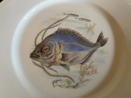 Image 1 of Piatti e ciotola in porcellana di Limoges con pesce francese