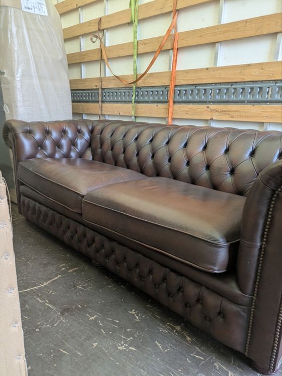 Chesterfield 3-seater Springvale Leather model Rossendale, 3-5 seaters, Brown (photo 2 of 5)