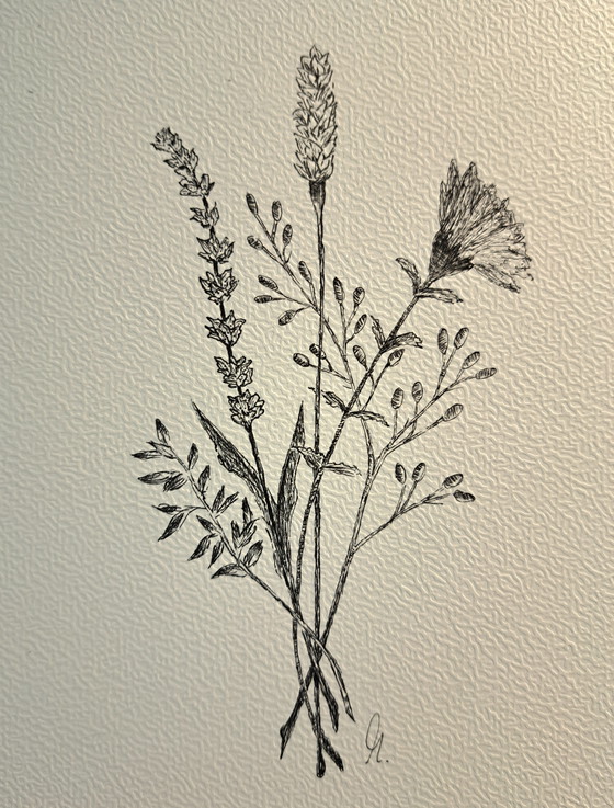 Image 1 of Illustrazione Botanica Bouquet Selvatico | Cornice Marrone Scuro