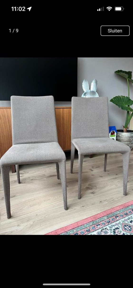 Image 1 of 2 sedie da pranzo Bonaldo - beige/crema