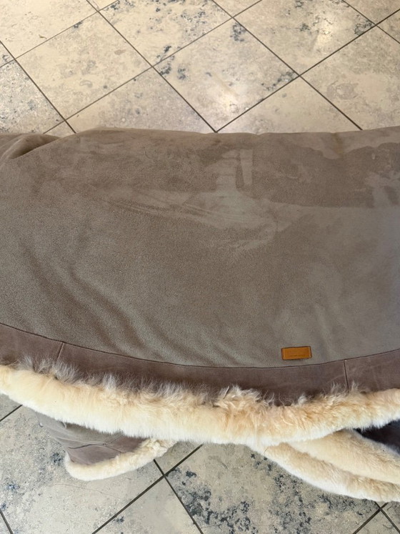 Image 1 of Alpaka Teppich Edwin rund 250 cm Champagner neuwertig Weich Couture   