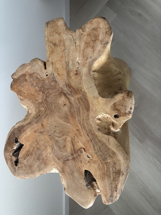 Image 1 of Grillige unieke plantentafel teakhout 
