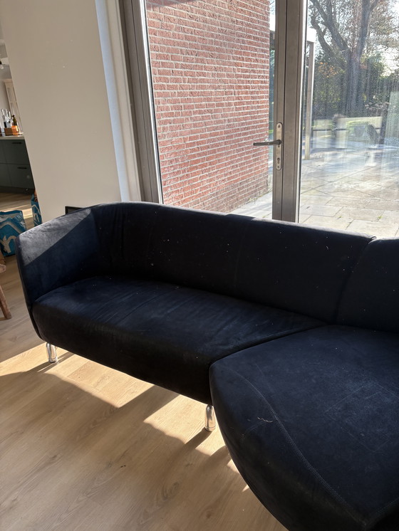 Image 1 of Panca Leolux pupilla in camoscio nero