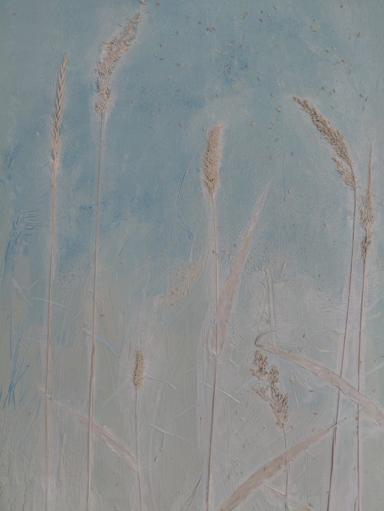 Image 1 of "Glory of Seeds" by Gallery Suncorner