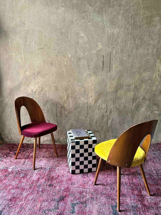 1/16 Antonín Šuman Chair 1967 for MIER Topoľčany, Mid Century Chair Walnut, Restored and reupholstered (photo 5 of 9)