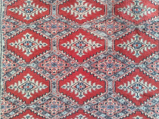 Tappeto pakistano fatto a mano – Tappeti, Wool, Cotton (photo 4 of 10)