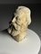 Testa di statua classica, XX secolo, gesso – Sculture (photo 13 of 17)