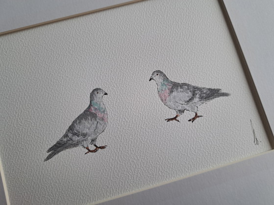 Pintura en acuarela de pequeñas palomas | Incluye marco – Pinturas y dibujos, Paper (photo 2 of 5)