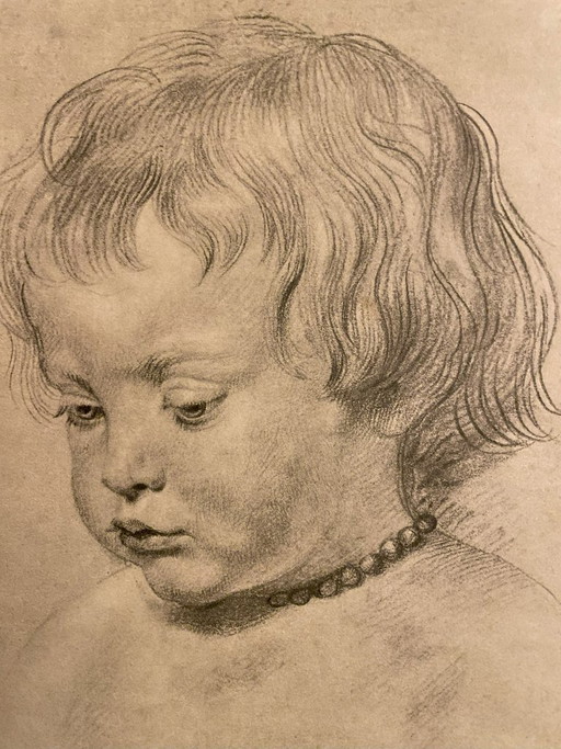 Peter Paul Rubens (1577-1640) - Son Nicolas – schilderijen tekeningen, Paper (photo 2 of 5)