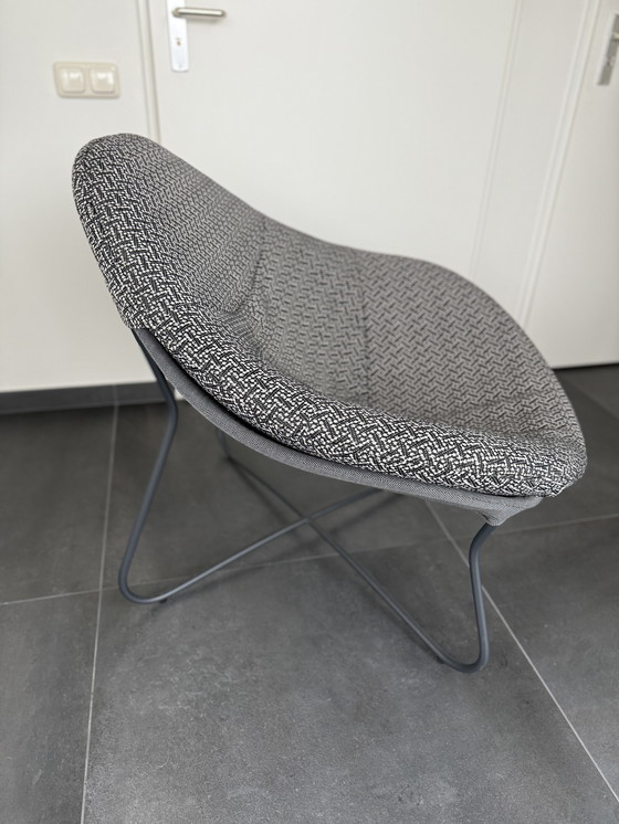 Image 1 of Label | Poltrona da esterno Hidde | Paringa Black | ZGAN