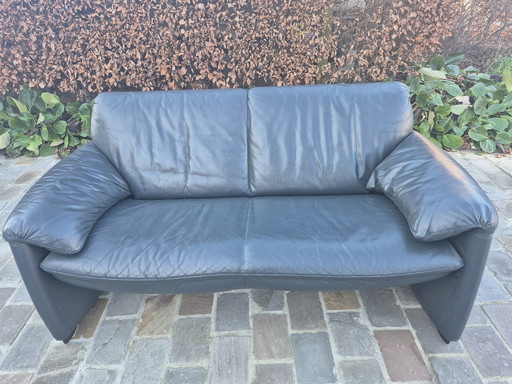 Cuero de dos plazas (Leolux)