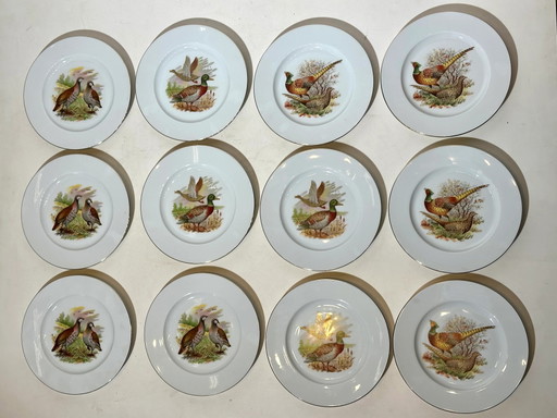 Juego de 12 platos Limoges Wild – Decorados a mano – Ø 21,5 cm – servies
