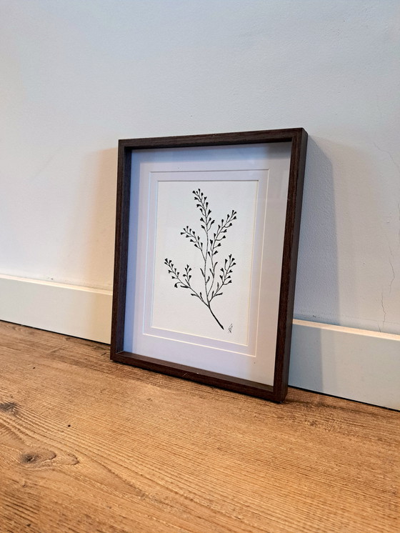 Image 1 of Botanische Hirtentäschel-Illustration | Dunkelbrauner Rahmen