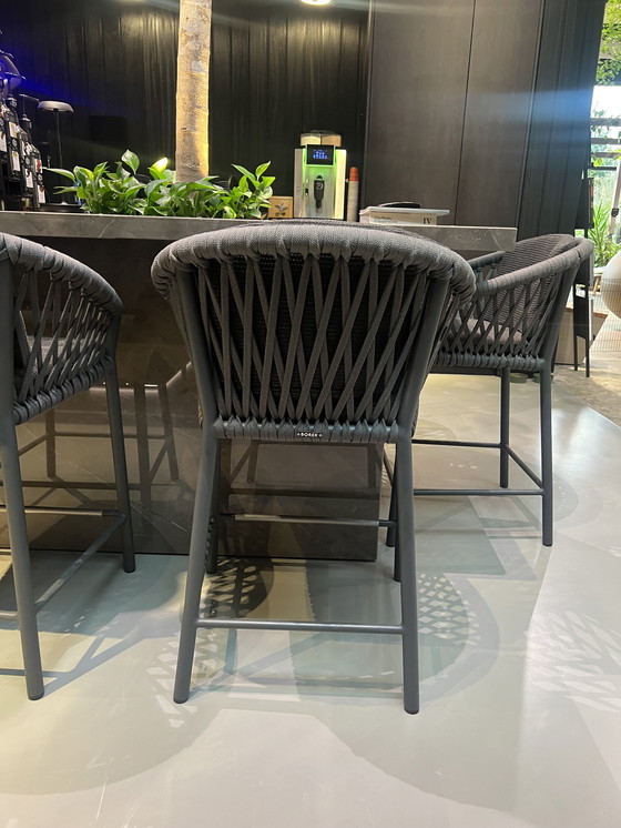 Image 1 of 9 x Borek kruk te koop