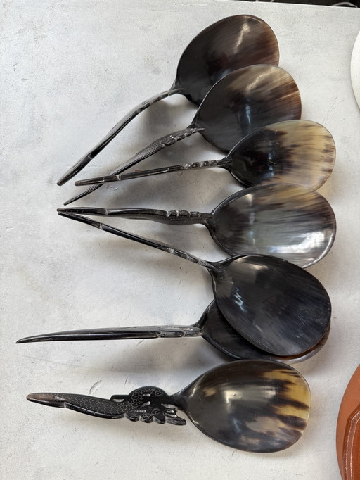 Antique set of buffalo horn spoons from Indonesia (7 pieces)