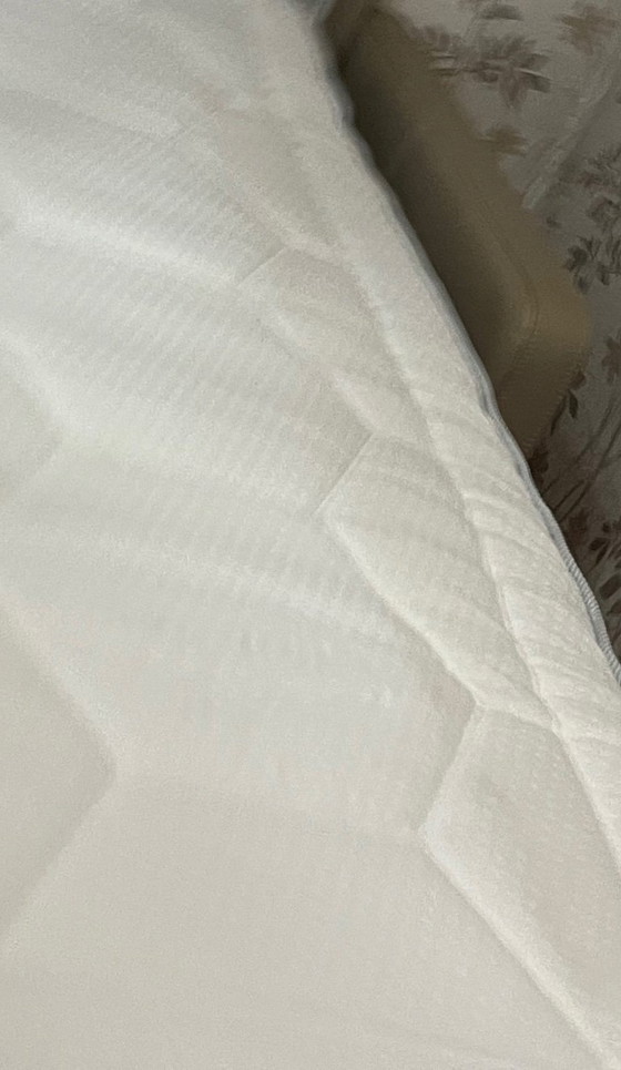 Image 1 of ARCO Premium leather sofa (Lampolet base incl. mattress)