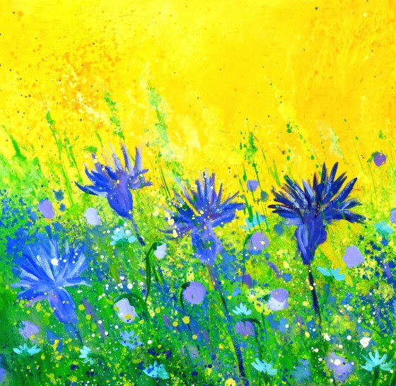 Image 1 of Cornflowers