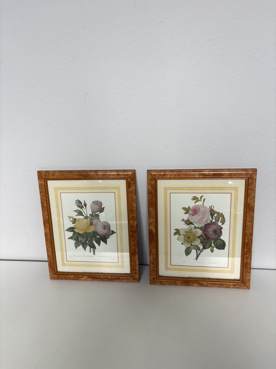 Image 1 of Coppia di stampe botaniche vintage Pierre-Joseph Redouté – Bernard Picture Co. (24x29 cm)
