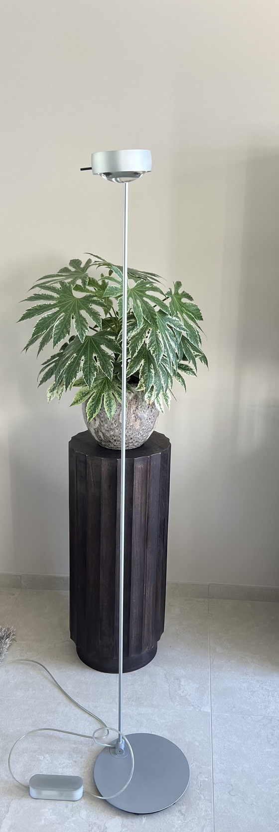 Image 1 of Occhio Sento Lettura NV 160