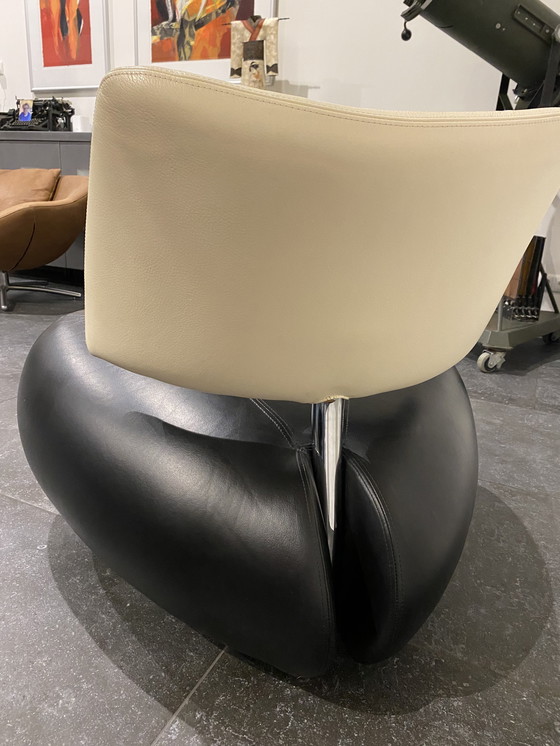 Image 1 of Leolux Pallone negro con