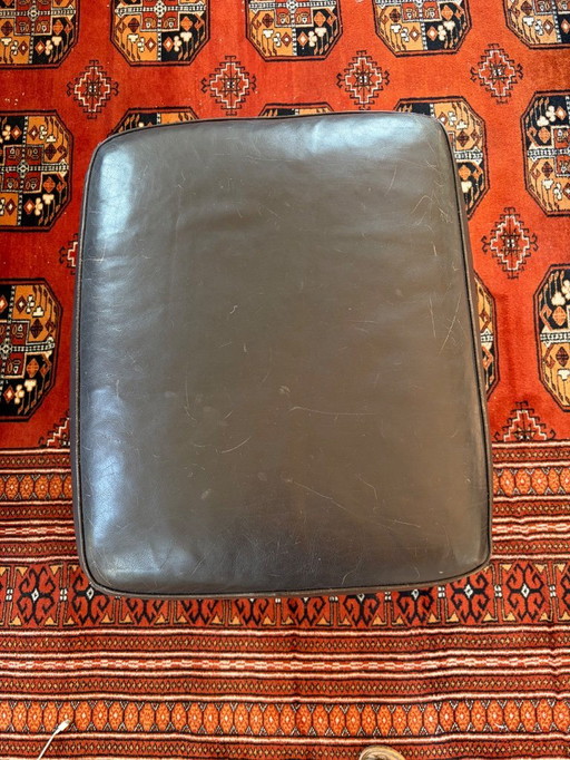 Salon Aspen pelle Elite 8205, pouf, marrone tartufo 82116