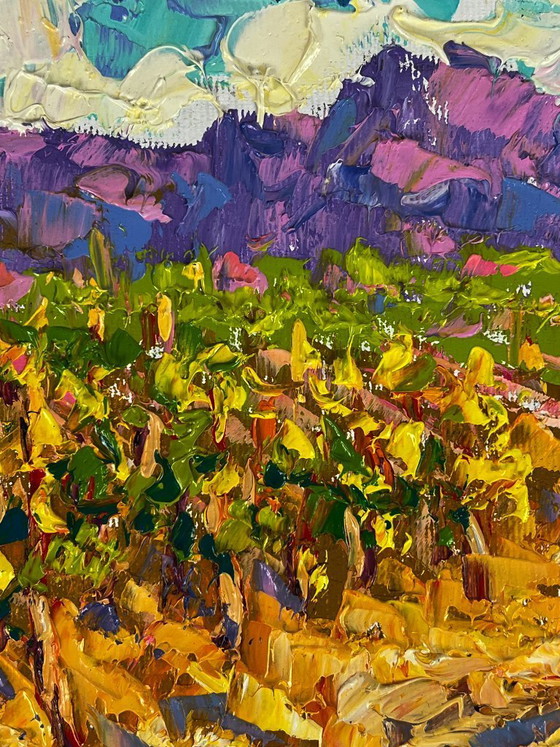 Image 1 of Vineyards near the Mountains