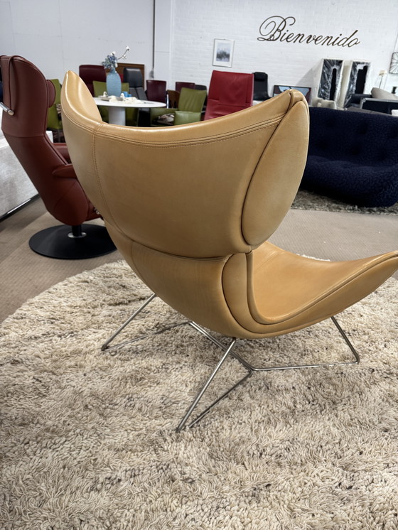 Image 1 of Uw concept Imola