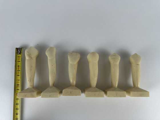 Image 1 of 6 modelli didattici vintage - odontoiatria