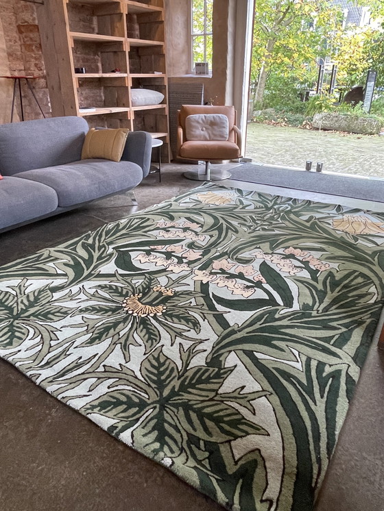 Image 1 of Brink and Campman Morris & Co Bluebell Leavy Teppich 250 x 350