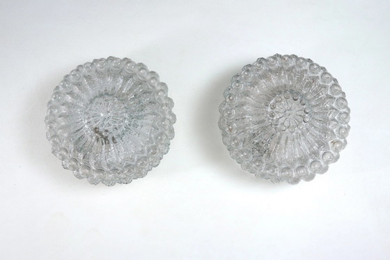 Molded Bubble Glass Flush Mount Ceiling Light, Metal (photo 4 of 8)