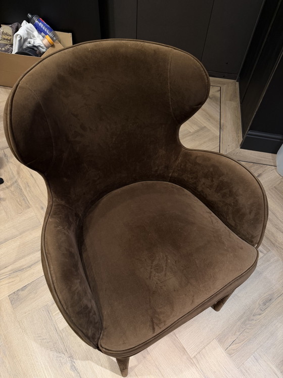Set of 2 Brown Dining chairs – Velour – Velvet (photo 4 of 6)