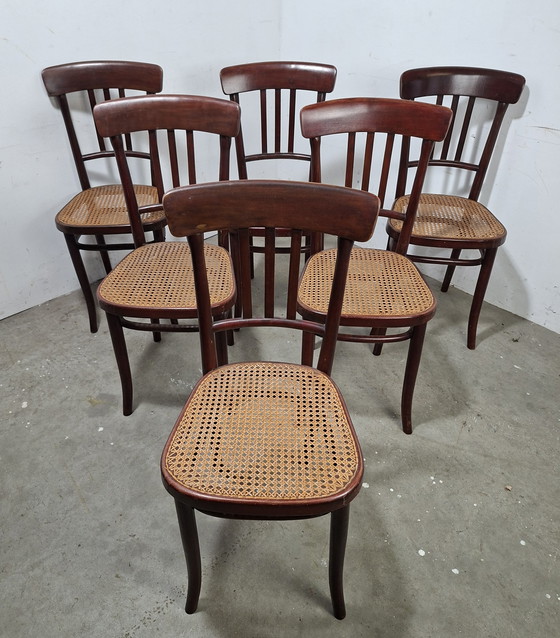 Image 1 of Set di 6 sedie vintage di design Thonet