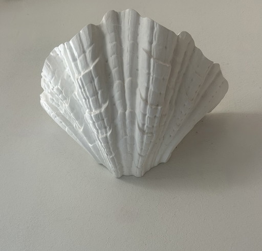 Shell wall lamp in matt white plaster, France 1960